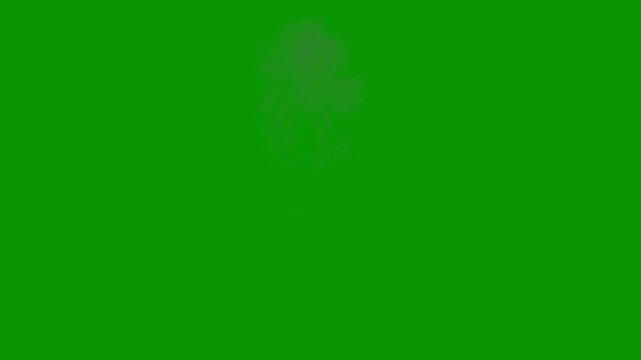 Video of a giant mushroom cloud explosion, 24p, green screen for transparent background