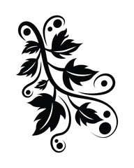 Hand drawn illustration of vine flower leaf ornament