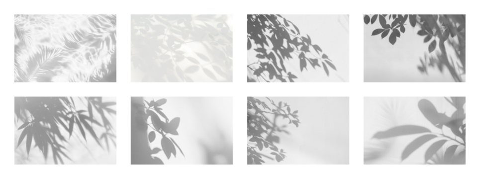 PNG Nature-inspired abstract shadow patterns, element set on transparent background