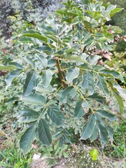 Amazing nature pictures