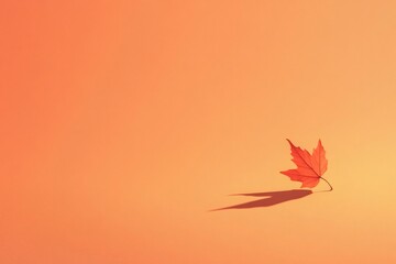 Minimalist autumn composition featuring a vibrant orange maple leaf casting a dramatic shadow on a matching orange backdrop