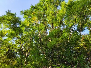 Amazing nature pictures