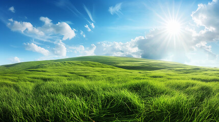 Fototapeta premium Sunny green meadow. Expansive grass field under bright blue sky with sunbeams. Ideal for nature, outdoor, and wellness themes.