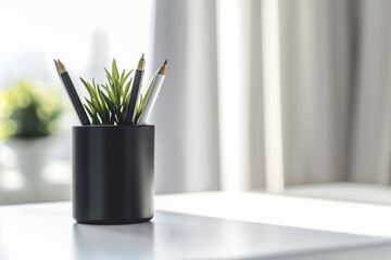 Soft natural light on desk. Plant and pens in black holder. Minimalist workspace scene for productivity concepts.