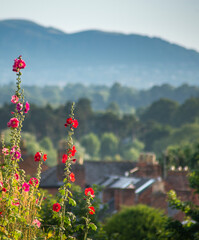 Fototapety na wymiar - Fototapeta24.pl