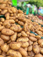Raw young potatoes close-up on a market stall in green plastic crates