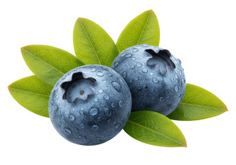 Isolated two fresh blueberries with water droplets, arranged with green leaves beautifully