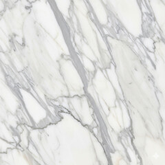 Obraz premium Marble Elegance: The close-up of a marble slab, showcasing its natural beauty with detailed textures and veins, exuding sophistication and luxury, perfectly representing timelessness.