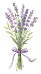 Fototapeta premium Watercolor lavender bouquet tied with purple ribbon isolated on black background botanical depiction