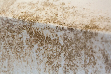 .Fungal mold spots growing on white room wall Wall angle due to excessive dampness in Italy during the winter season