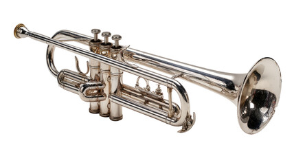 Obraz premium Polished trumpet, angled view (1)