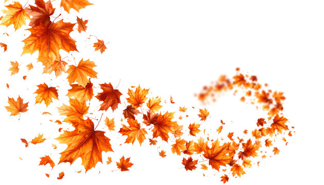 Flying autumn leaves swirl PNG with transparent background | fall foliage isolated design element