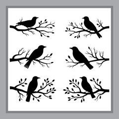 Silhouette of Birds Perched on Branches against a White Background, Presented in a Frame, Evoking a Sense of Nature and Peace
