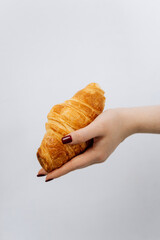 Fresh croissant in hand with clean minimal background. French bakery food concept