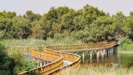 Fototapeta premium View of the wooden walkways over the water in the Tablas de Daimiel Natural Park (Ciudad Real, Spain)