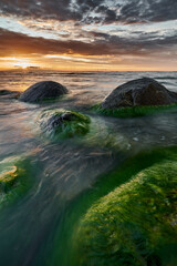 Sea Stone with Green Algae at Sunset