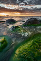 Sea Stone with Green Algae at Sunset