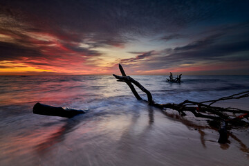 Driftwood in Moody Evening Light at the Coast Weststrand