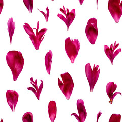 Elegant seamless pattern featuring individual red peony petals arranged on a white background. Ideal for romantic designs, fabric prints, packaging, wrapping paper and creative floral projects.