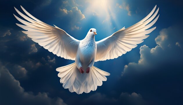 white dove flying in the sky peace concept