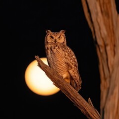 An owl perched on a branch, bathed in the soft glow of the full moon.