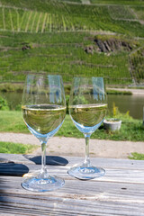 Drinking German dry white riesling wine with view on terraced vineyards in Punderich wine willage on Moselle river valley, wine making industry in Germany, glasses of wine