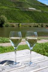 Drinking German dry white riesling wine with view on terraced vineyards in Punderich wine willage on Moselle river valley, wine making industry in Germany, glasses of wine