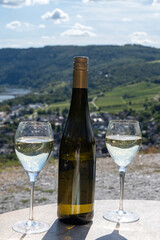 Drinking German dry white riesling wine on terraced vineyards with view on Moselle river valley, wine making industry in Germany, glasses of wine