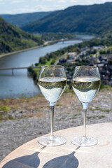Drinking German dry white riesling wine on terraced vineyards with view on Moselle river valley, wine making industry in Germany, glasses of wine