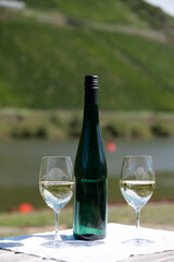 Drinking German dry white riesling wine with view on terraced vineyards in Punderich wine willage on Moselle river valley, wine making industry in Germany, glasses of wine