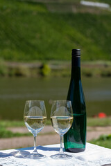 Drinking German dry white riesling wine with view on terraced vineyards in Punderich wine willage on Moselle river valley, wine making industry in Germany, glasses of wine
