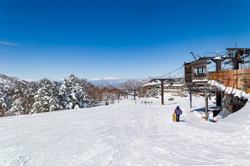 Wide ski slope at Yokoteyama resort in Shiga Kogen, Japan on a sunny winter day.