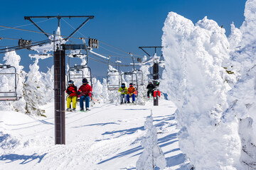 Snow-covered 'snow monster' trees on a sunny winter day at Yokoteyama, Japan