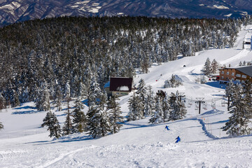 Sunny winter landscape at Shiga Kogen with snow-covered trees and mountains