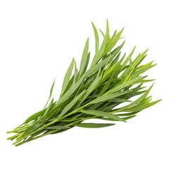 Fototapeta premium Tarragon Herb Bunch: Culinary & Medicinal Uses