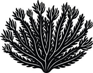 Coral Plant Silhouette | Tropical Coral Plant Silhouette