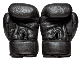 Weightlifting Gloves