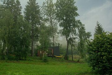 small modern wooden house (tiny house) in the middle of the forest in the fog