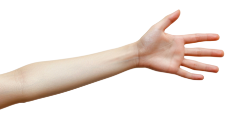 PNG Woman hand background human white.