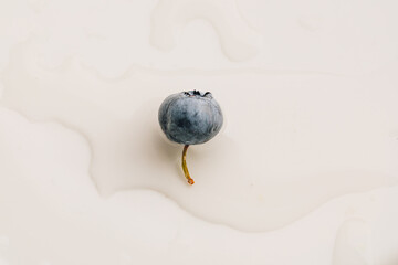 single blueberry with stem on white, water