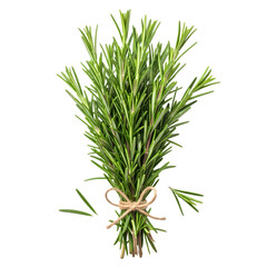 Fototapeta premium Fresh Rosemary Sprigs: Culinary Herb Bunch, Tied with Twine, Isolated on White
