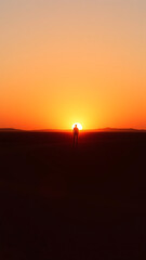 Solitary Figure at Sunset in a Red Desert Landscape vertical