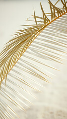 Obraz premium Minimalist White Palm Frond Pattern on Sandy Background vertical
