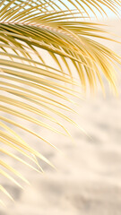 Minimalist White Palm Frond Pattern on Sandy Background vertical
