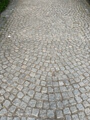 Hedges and stone path