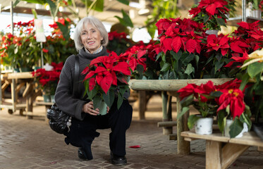 Senior woman customer with product in hands at fair chooses potted plant to decorate interior....