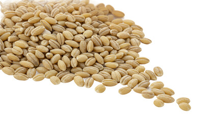 Hulled Barley Grains Piled on a Smooth Beige Background
