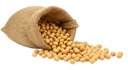 Golden Soybeans Spilling from Rustic Burlap Sack on Warm Background