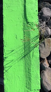 Closeup of vivid green painted sidewalk, capturing bold urban color and textured concrete surface.