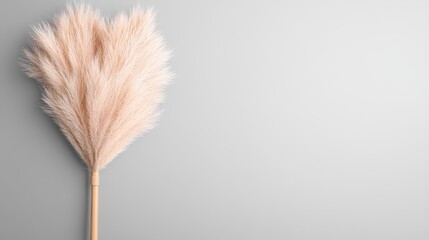Soft Pink Pampas Grass Arrangement on Minimalist Grey Background